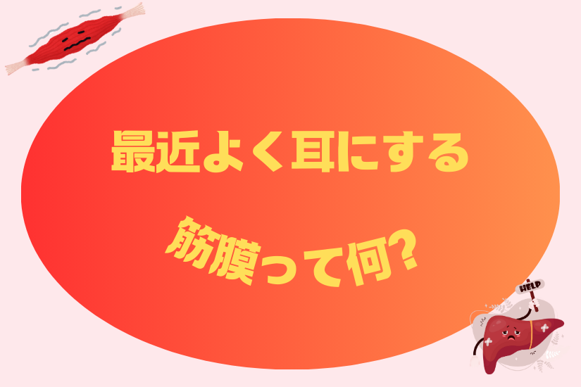 「最近よく耳にする筋膜って何？のサムネイル」